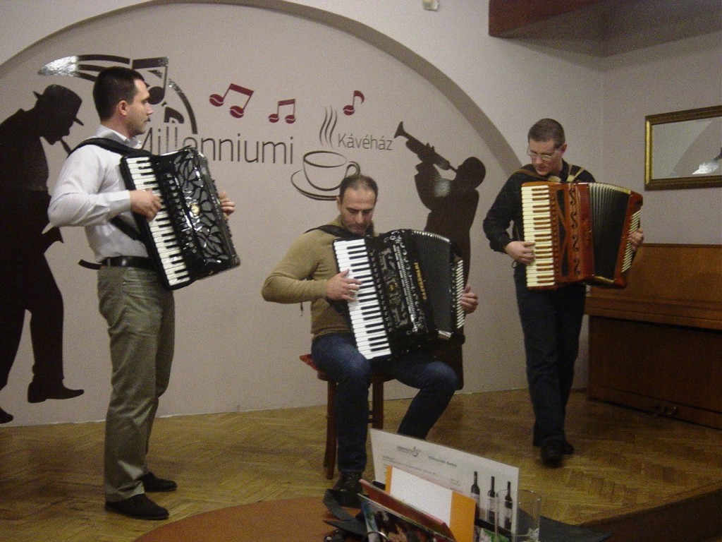 Harmonikások Országos Társasága alakuló ülése