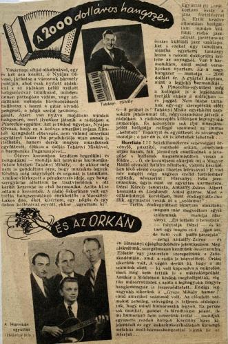 Újságcikk-4